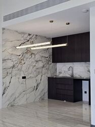 Leedon Green (D10), Condominium #545580501
